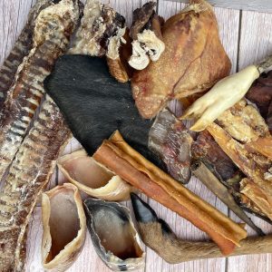 Harper's Mega Chew Box