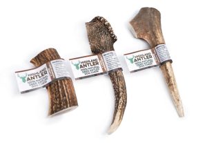 Antler Chew 