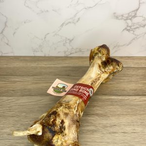 ostrich dino bone