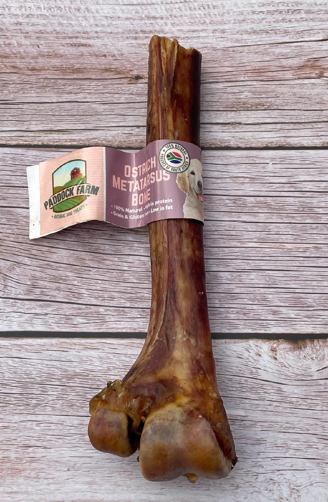 Ostrich Metatarsus Bone