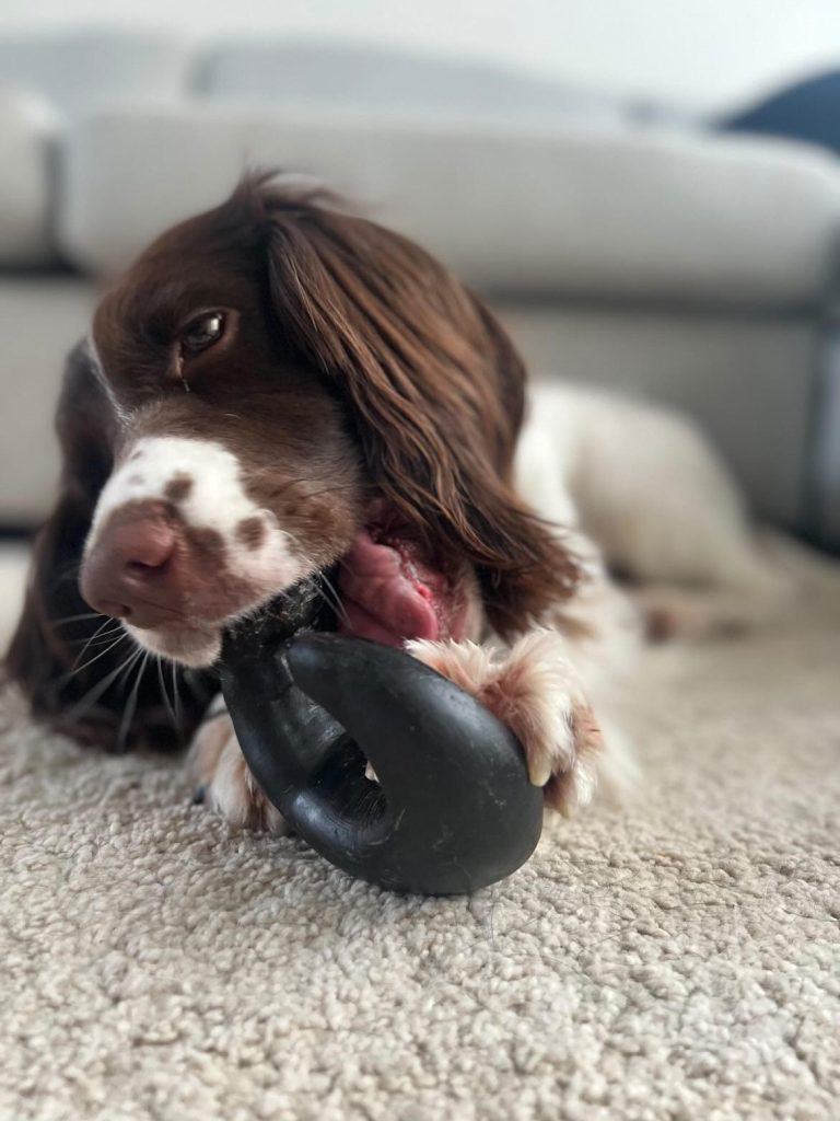 Bonnie sales dog biscuits