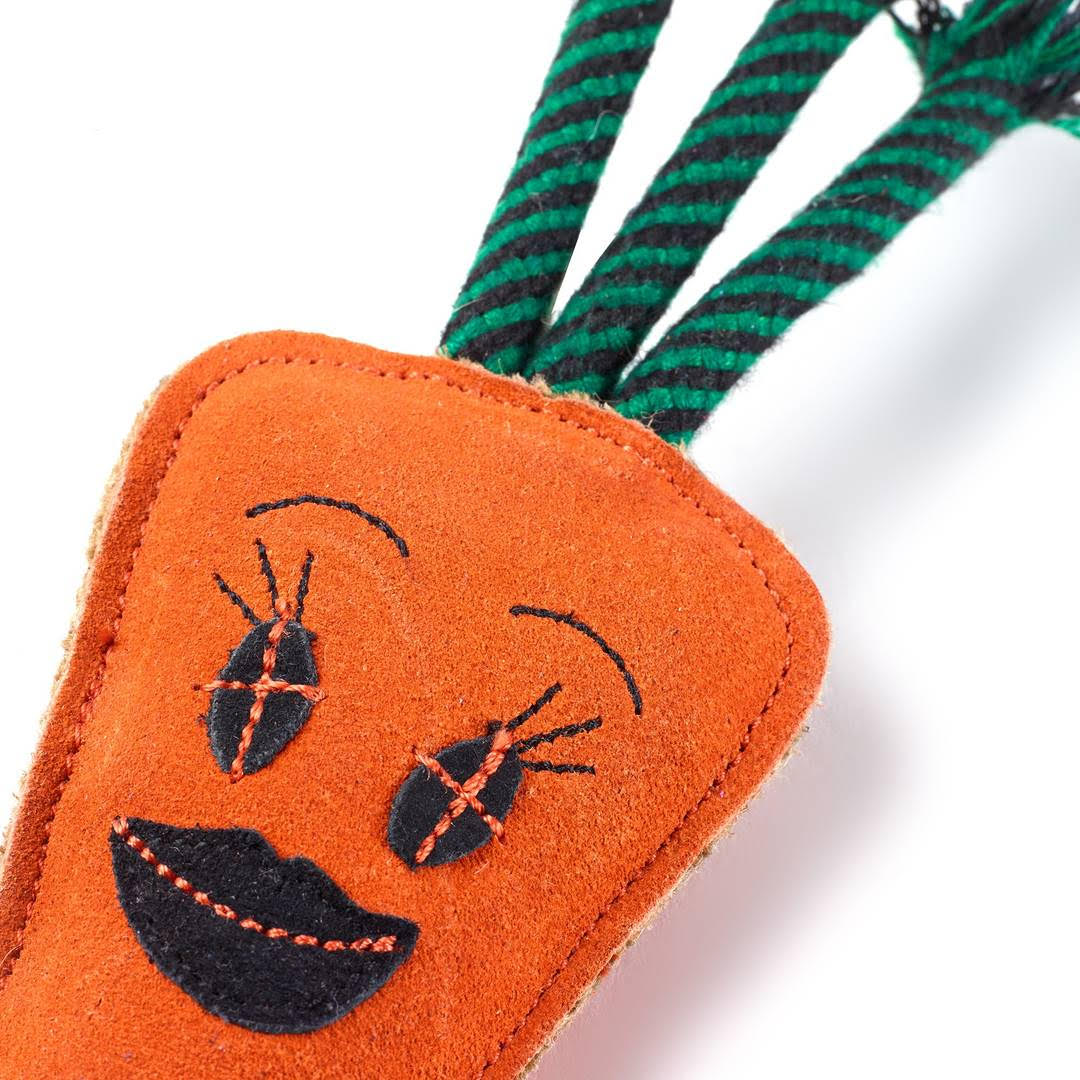Candice the Carrot, Eco Toy - Image 2