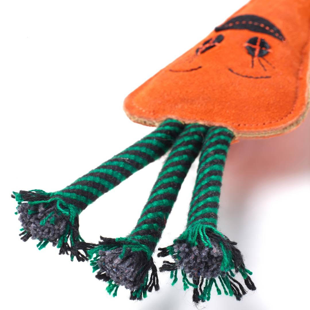 Candice the Carrot, Eco Toy - Image 4