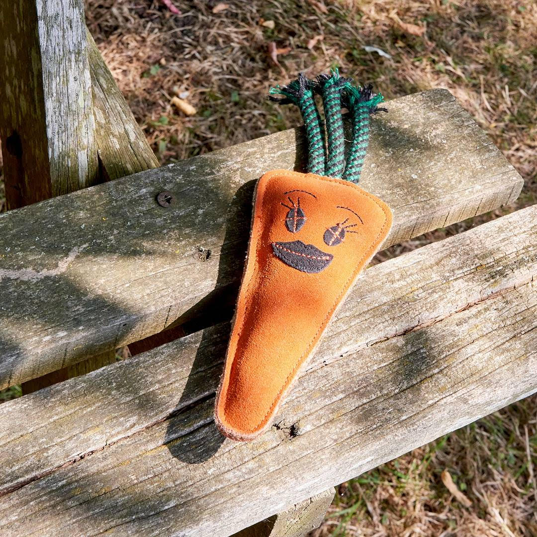 Candice the Carrot, Eco Toy - Image 5